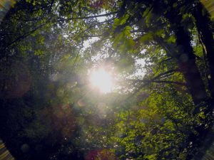 Verlosung Karten Heilmeditation 11.05.2025